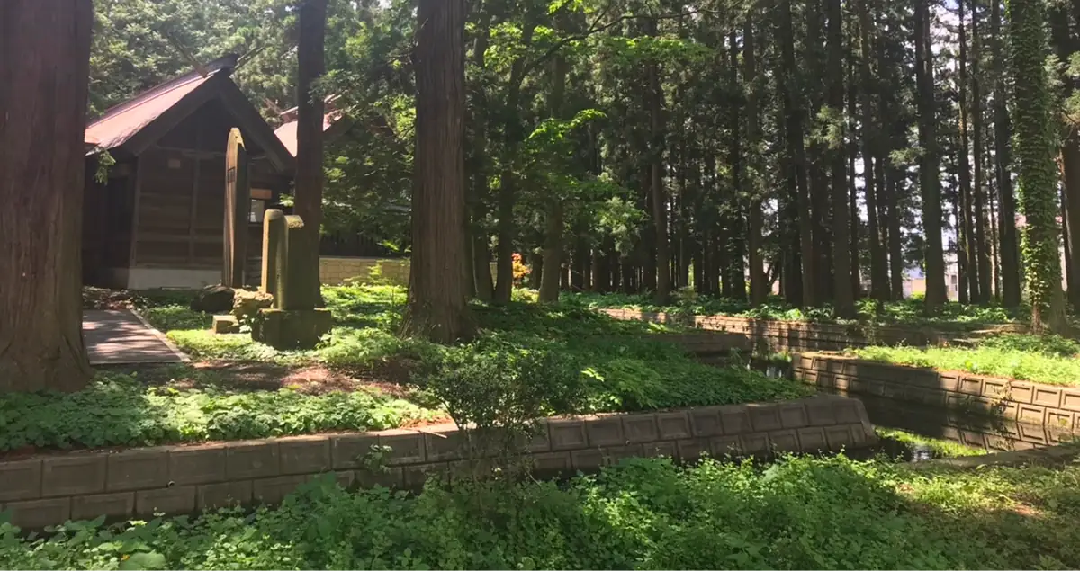 境内の観葉植物