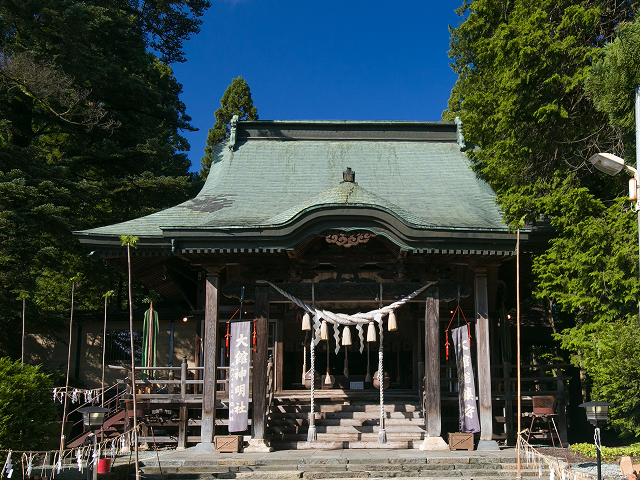 夏越しの大祓いの様子